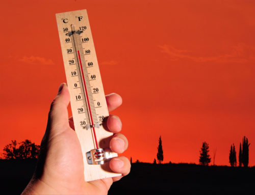 What Are the Ways You Can Prevent Heat Stroke?